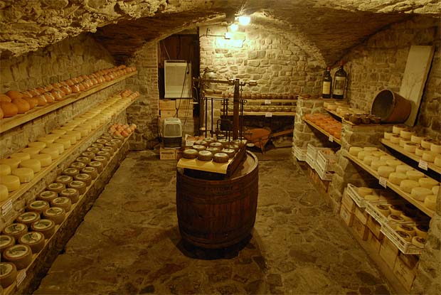 Innovations in Underground Cellars: From Ancient Roots to Modern Applications