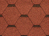 Tema3