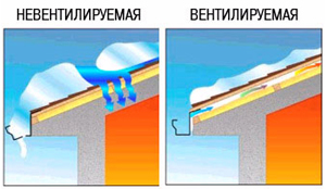 Picture 710x476px